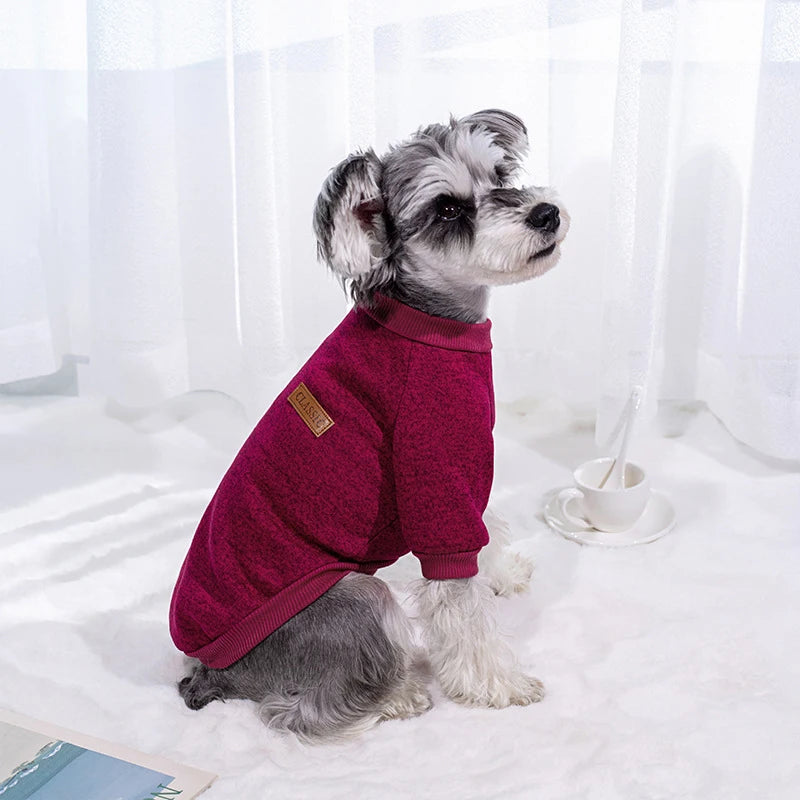 ¡Mantén a tu mascota elegante y cálida durante los meses fríos! Esta chaqueta para cachorros y gatos pequeños está diseñada para ofrecer comodidad, estilo y calor en la temporada de otoño e invierno. Con un diseño clásico y materiales suaves