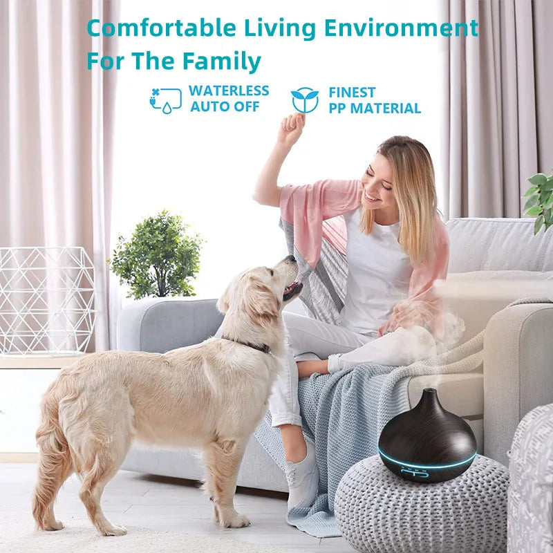 Convierte tu Hogar en un Oasis de Tranquilidad y Frescura!