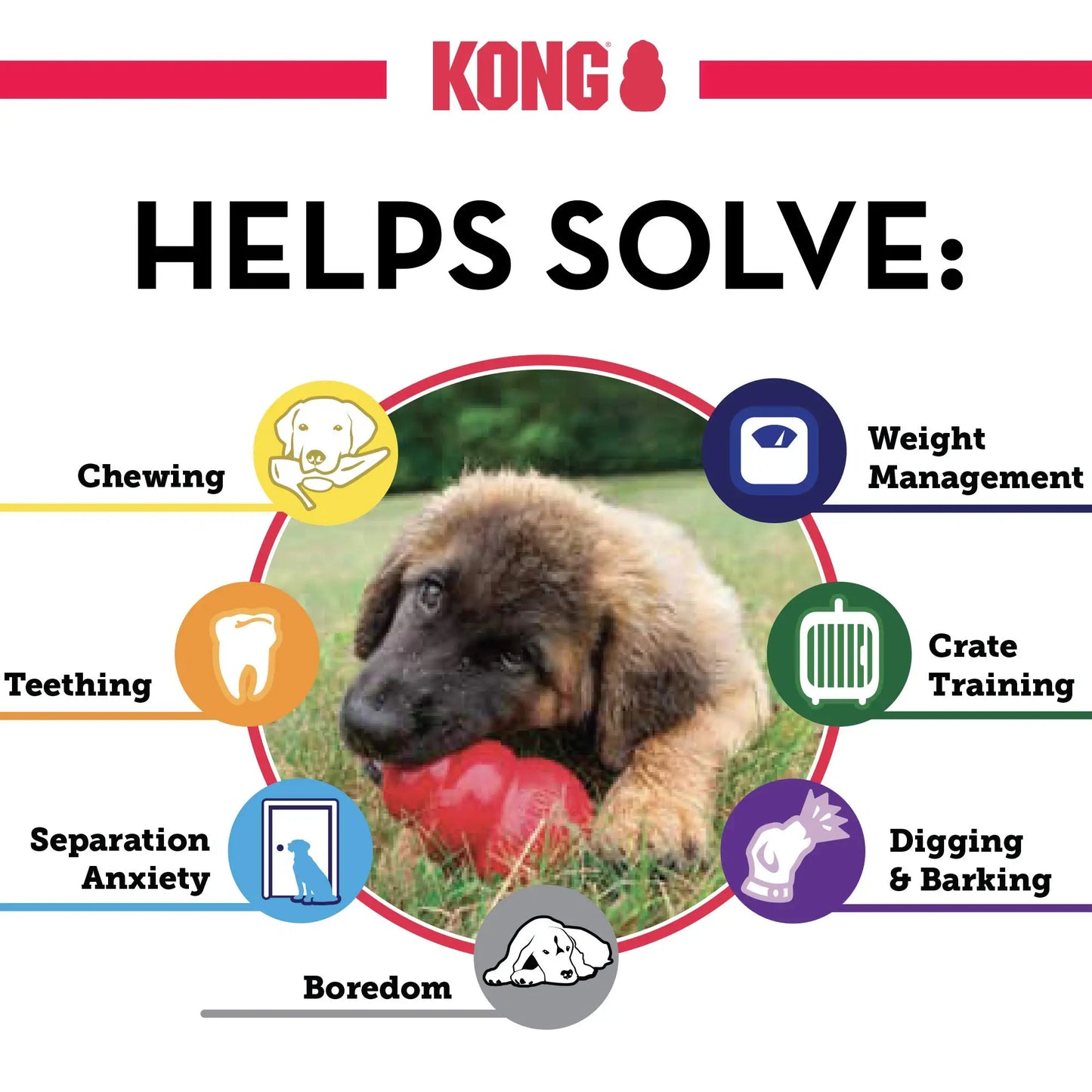 ¿Tu perro es un masticador extremo que destruye cualquier juguete en minutos? ¡No más preocupaciones! El KONG Extreme es el juguete perfecto para tu mascota