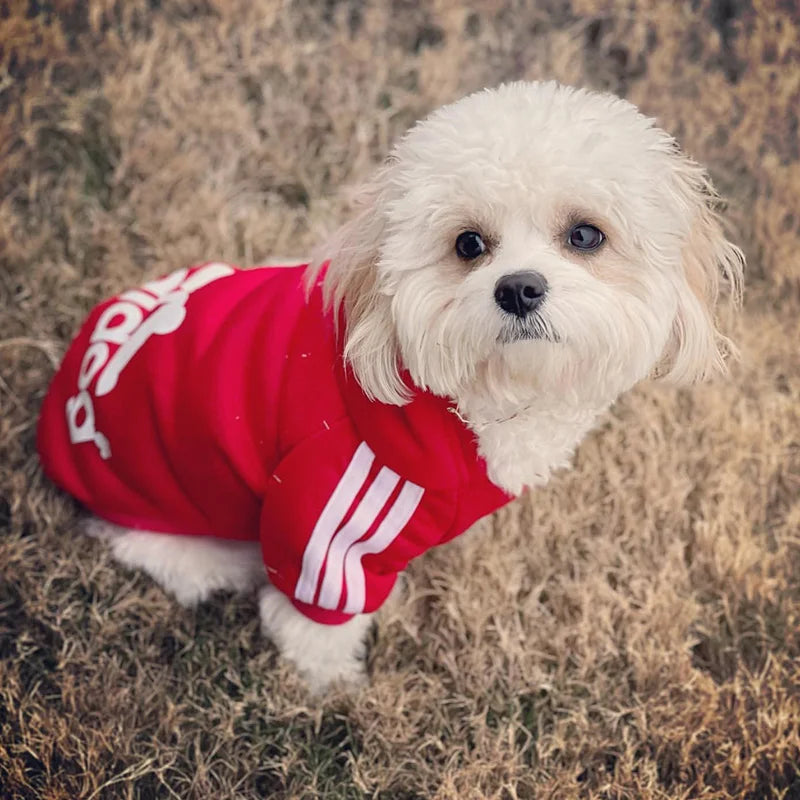 Dale a tu perro el Mejor Look con esta Sudadera para Perros Adidog.