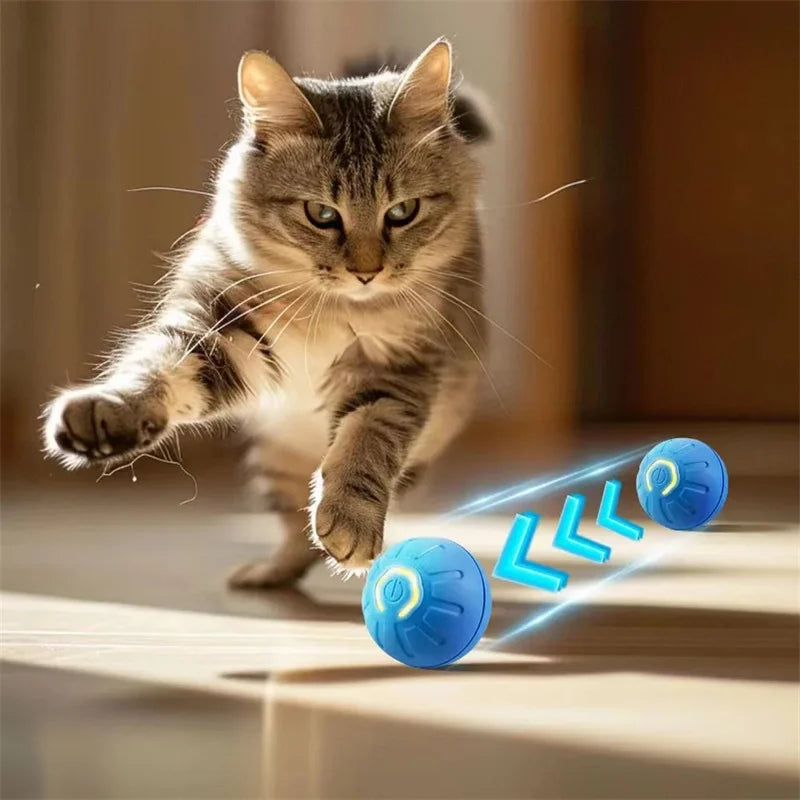 Mantén a tu Mascota Entretenida durante Horas con esta Pelota Interactiva Inteligente.