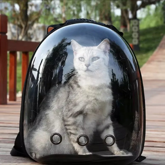 Lleva a tu Gato a Todas Partes con Seguridad, Comodidad y un Toque Futurista !